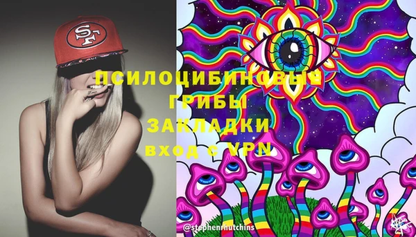 дживик Алексеевка